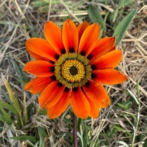 Meet your Posher, Catherine kay